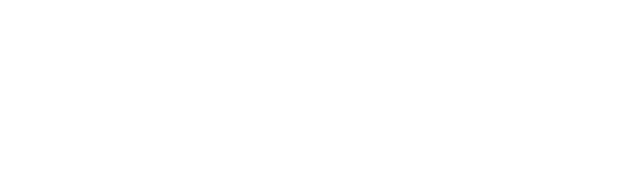 Neoulsoft